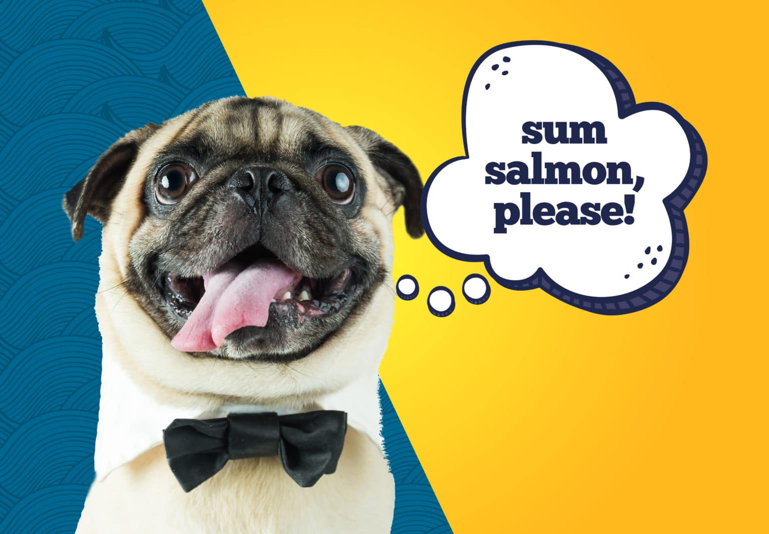 why-salmon-is-awesome-for-dogs-awesome-pawsome-pet-treats