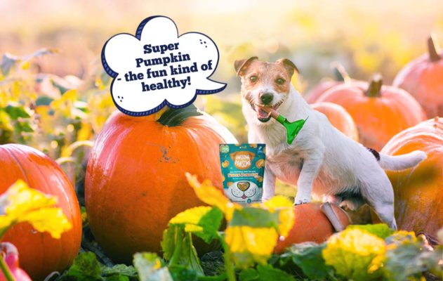 Awesome Pawsome Super Pumpkin all-natural dog treats vegan
