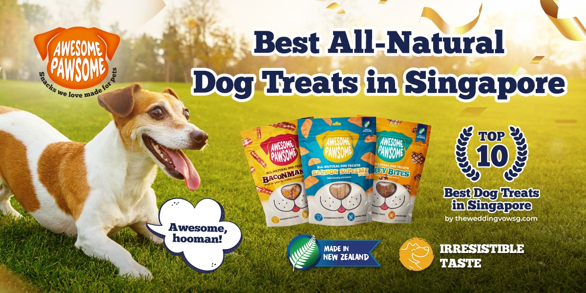 what is best treat for dogs